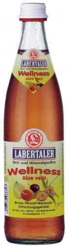 Labertaler Wellness Aloe Vera 20x0,5 l Glas